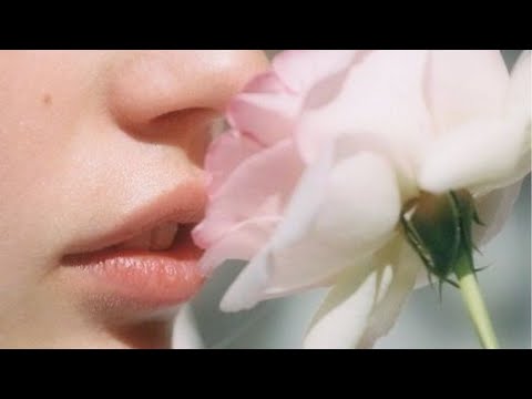 𝐩𝐥𝐚𝐲𝐥𝐢𝐬𝐭 | sounds of summer | Henry Mancini, dreamy + relaxing soft jazz
