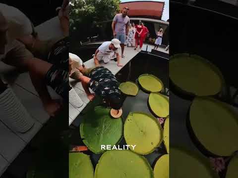 Instagram Vs reality #instagramvsreality, #reality, #travel, #travelmore, #travelfamily