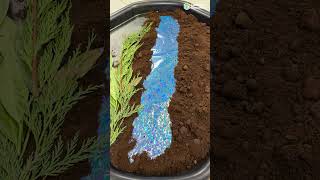 Land of the Dinosaurs l Dino Tuff Tray l Learning Resources UK