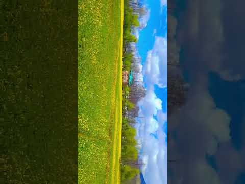 spring brings colors #shorts #anantnag