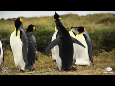 South America with Adventure World | helloworld Travel