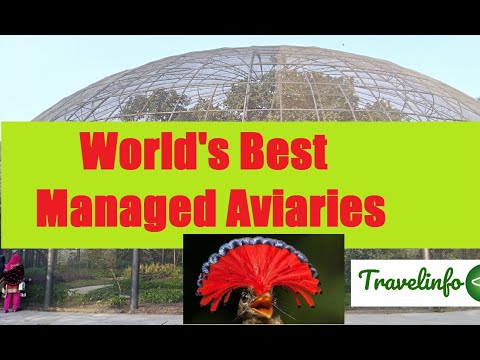 World's Best Managed Aviaries