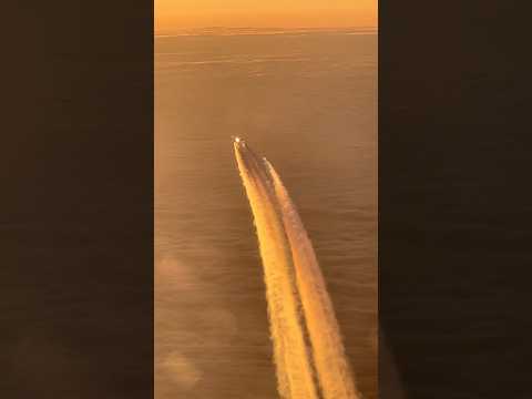 Flying towards the sun | 向陽而飛✈️ #aviation