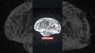 AI tools are impressive, they are not sentient nor do they really understand the world they interact