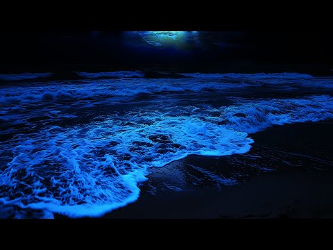 Fall Asleep All Night By The Ocean | Rolling Waves For Deep Sleeping | Dark Screen 24 Hours