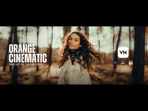 ORANGE Cinematic LUT For VN Video Editor | Premiere Pro | Davinci Resolve & FCP | Download Free LUT
