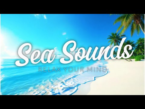 Find DEEP RELAXATION with this OCEAN Sounds | 30 Minutes of PEACE