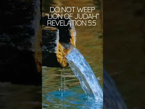 Lion of Judah, Spirit of Lion, REV 5:5 | Worship by SoulBalance | Uplifting/Faith/Soulful Gospel