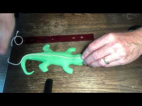 Our Growing Gator