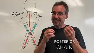 Posterior chain