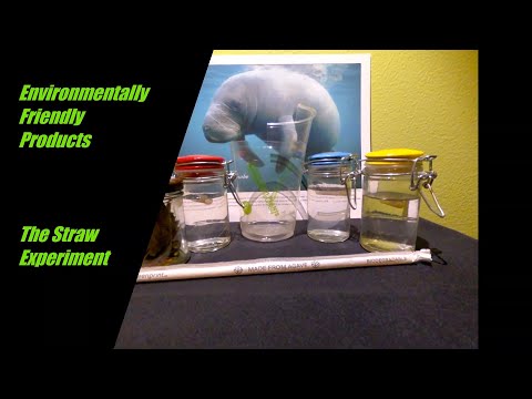 Environmentally Friendly Products - The Straw Experiment