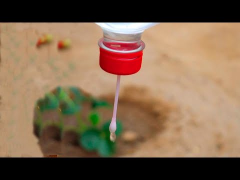 How to Make Drip Irrigation Very Easy, Fast, and Economical with Plastic Bottles