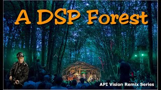 A DSP Forest (API Vision) 2025