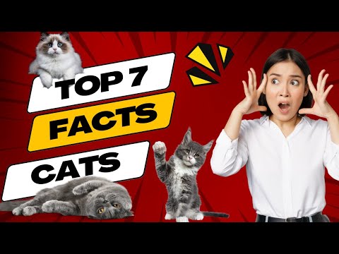 cats7 Mind-Blowing Facts You Didn't Know About Cats
