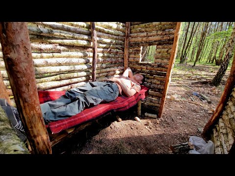 House In The Woods With Rotten Wood, Construction Shelter Bushcraft, Cabin