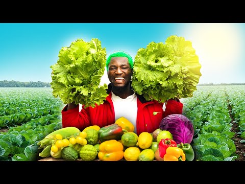 He Quit Being a DOCTOR for FARMING in Nigeria.