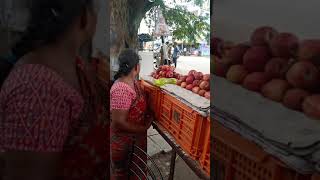 fruit theft lady
