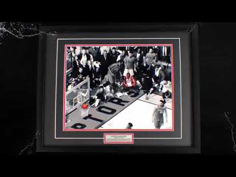 A $400 Kawhi Leonard, Toronto Raptors game 7 buzzer-beater 16x20 framed photograph