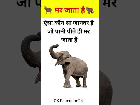 ऐसा कौन सा जानवर है जो पानी पीते ही मर जाता है #viral #shortfeed #gkhindi #intradaytrading #gk
