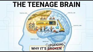 Why the Teenage Brain is "Broken": Adolescence and Neuroscience Explained