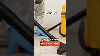 ASMR Mold Remediation Sealing, Scraping, and Cleaning for a Healthier Home