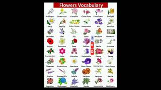 Interesting Vocabulary| Followers Name| Followers vocabulary words
