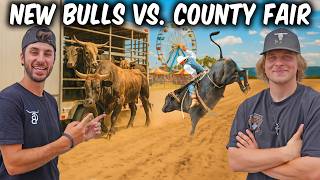 We Brought Our NEW Rank Bulls To A County Fair BullRide!