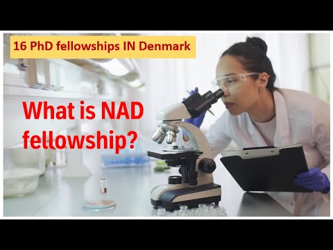 PhD fellowship 2022 || Recent PhD positions in Europe || Fully funded PhD position || NAD fellowship