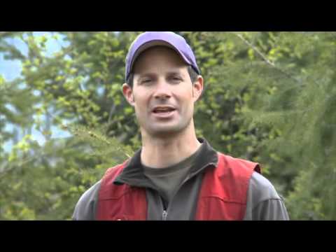 Earth Science Part 1