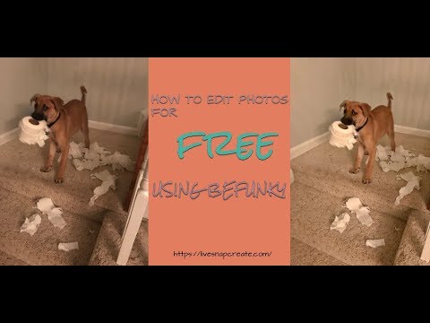 How to Edit Photos for FREE Using Befunky