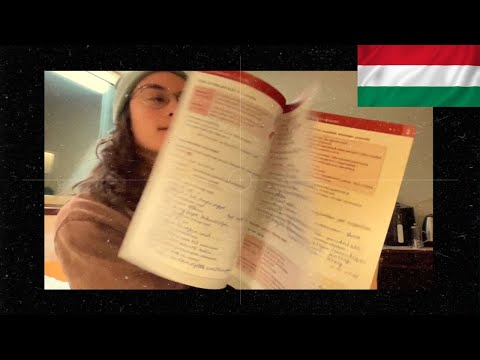 a magyar nyelvtanhoz való hozzáállásom
