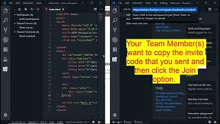 VS Code Live Share  I   Collaborative Programming   Share Workspace, Share Server and Share Terminal