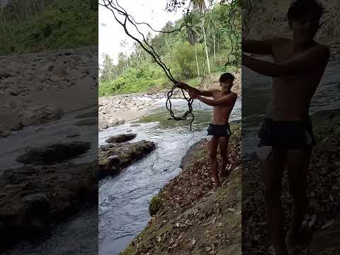 swimming in river #swimming #river