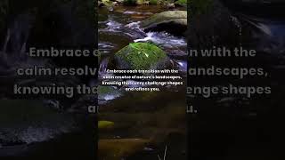 Daily Motivation Ep 110 #motivation #stoicresilience #dailyinspiration