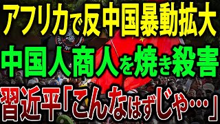 【ゆっくり解説】アフリカで反中国暴動拡大…特殊警察も止められない火炎瓶デモ【海外の反応】