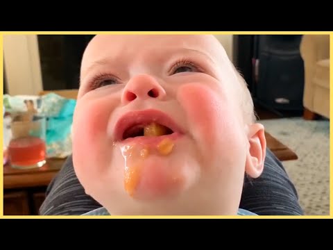 30 Minutes Baby Video For Baby To Watch || 5-Minute Fails