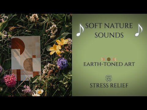 20-Minute Stress Relief & Mindfulness