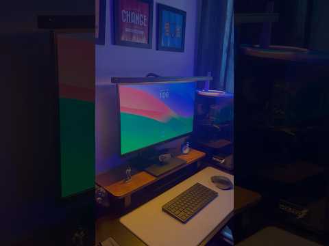 Software Engineer Desk setup