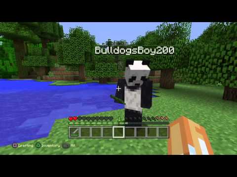 Minecraft ps4