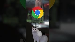 TOP 10 popular projects written in C++ 2023