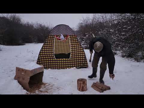 Tent Camping With My Pup- But What Happened Next Will Shock You!