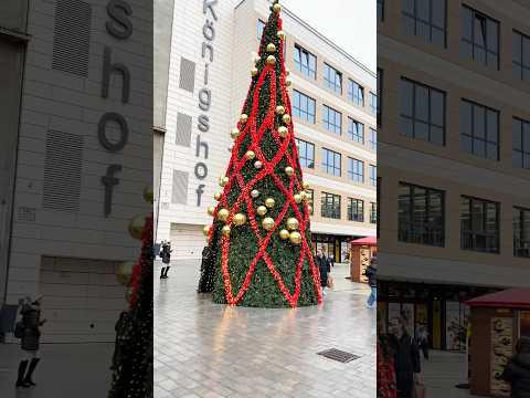 Christmas is here again, my favorite time of the year #vlogmas #vlogmas2024 #achristmasstory