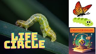 ENGLISH FOR SCIENCE | THE LIVING WORLD | BUTTERFLY's LIFE CIRCLE |  GRADE 5 (Lesson 2)