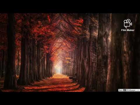 (Lauren Daigle)-O Lord