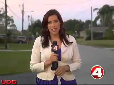 UFO Sighting - Cape Coral, Florida 2012