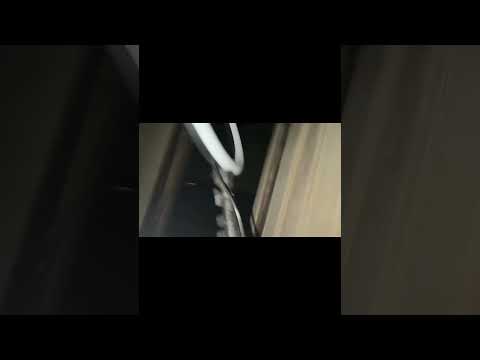 SOMEONES UPSTAIRS!!! #funny #gambling #scary #scarystories