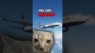 My Cat Hijacked My Airplane 🐈✈️💥