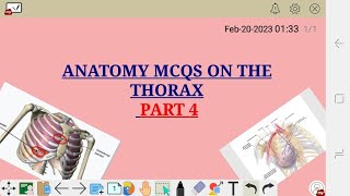 ANATOMY MCQS ON THE THORAX AND DIAPHRAGM  PART 3