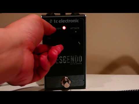 Boss Slow Gear SG-1 VS TC Electronic Crescendo Auto Swell