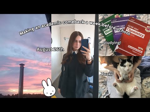 ⋆˚୨୧Making an ACADEMIC COMEBACK🖇a WEEK before school - studying,shopping,cleaning and planning